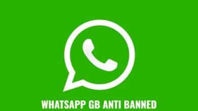 Télécharger GB WhatsApp Apk 2024