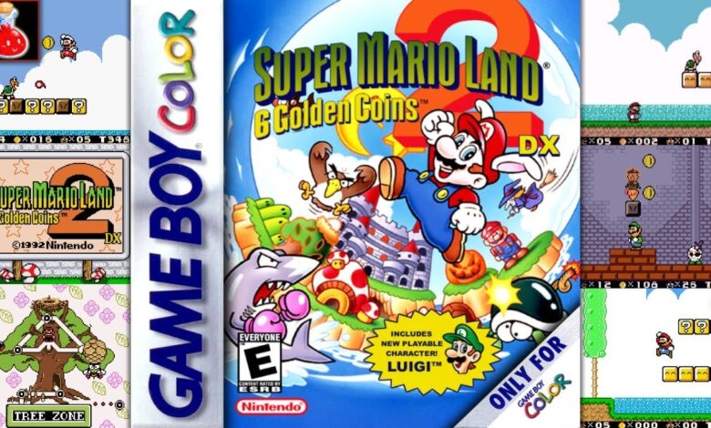Super Mario Land 2: 6 Golden Coins GameBoy (GBA)